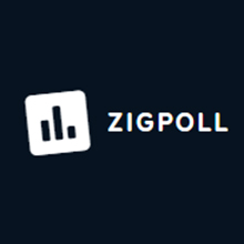 Zigpoll App Functionality
