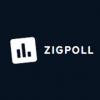Zigpoll Logo