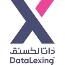 DataLexing Promotional Square